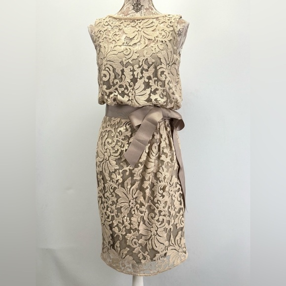 TADASHI SHOJI Beige and tan lace overlay sleeveless sheath dress size 8 - Picture 1 of 13